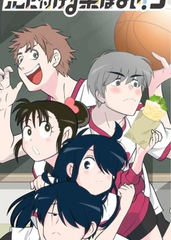 Ani ni Tsukeru Kusuri wa Nai! 3