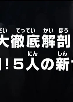 One Piece: A Comprehensive Anatomy! Fierce Fight! The Five from the New Generation