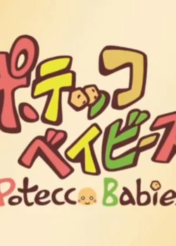 Potecco Babies (2011)
