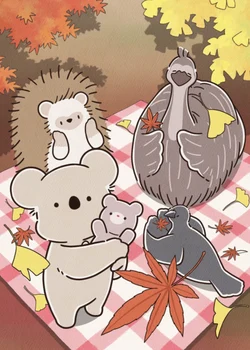 Koala's Diary