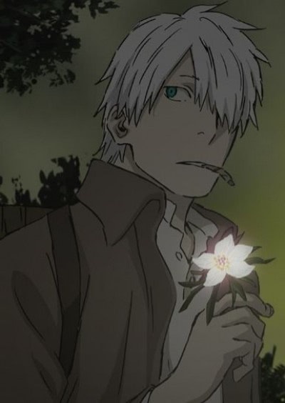 Мастер муси: Тень, поглотившая Солнце