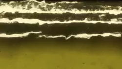 Frame #54851