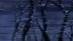 Frame #282522