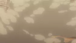Frame #100484