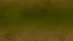 Frame #152544