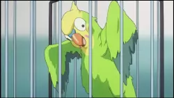 Frame #144032