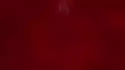 Frame #250572